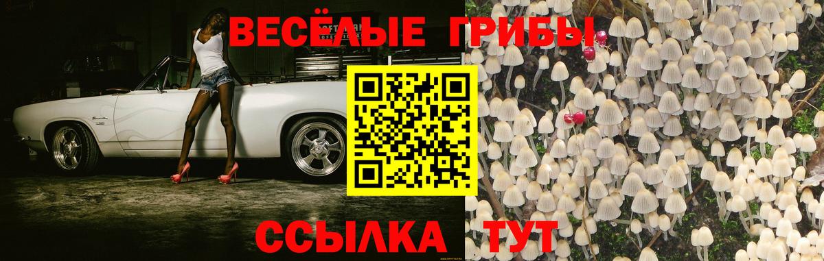 Псилоцибиновые грибы ЛСД  Галлюциногенные грибы мицелий  Новосибирск  цена наркотик  Вход с VPN 