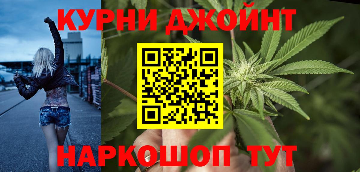 Канабис сатива Новосибирск