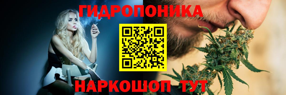 Марихуана гибрид  Каннабис THC 21%  Марихуана AK-47  Вход с VPN  Новосибирск  Марихуана White Widow 